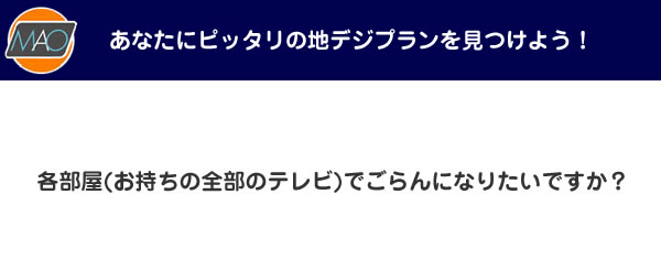 各部屋(お持ちの全部のテレビ)でごらんになりたいですか？